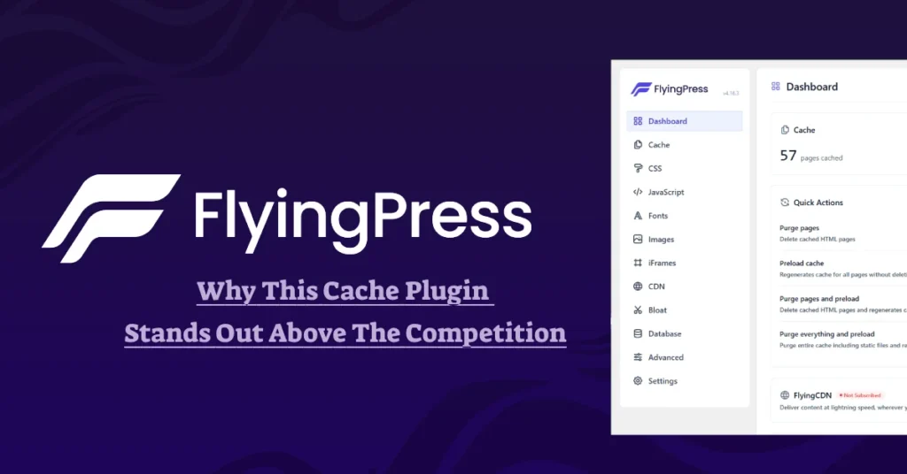 FlyingPress Review