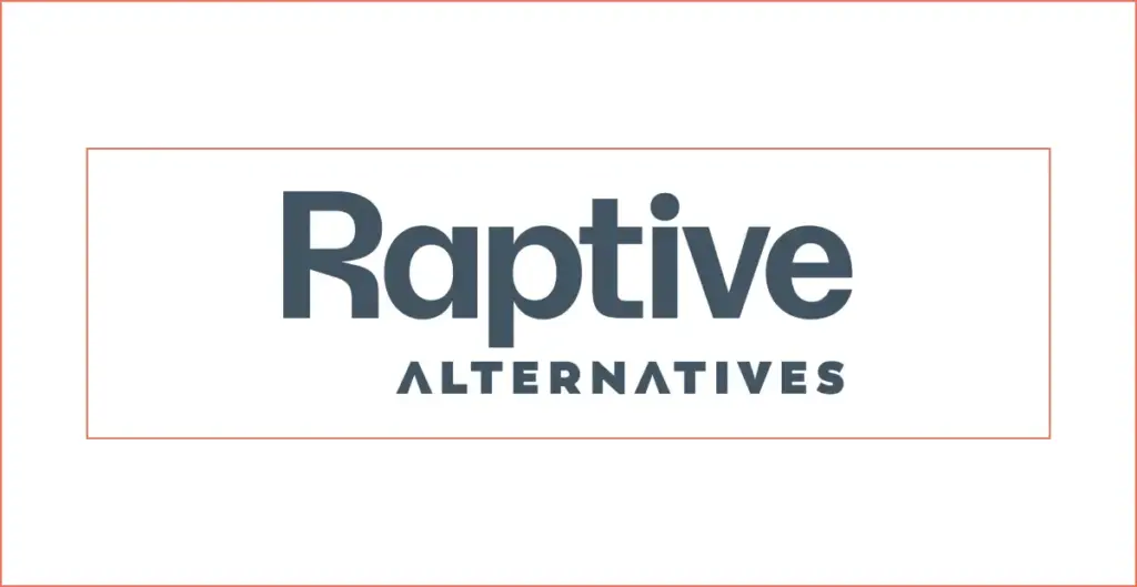 Raptive Alternatives