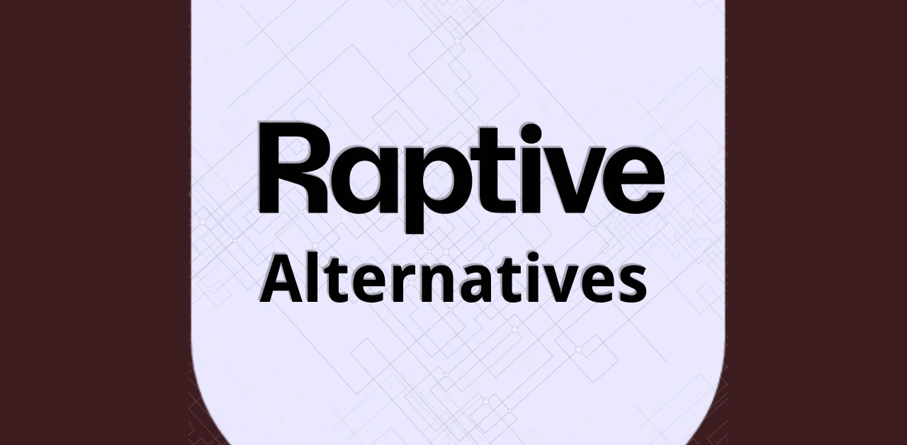 Raptive Alternatives