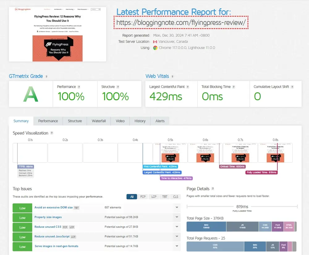 GTmetrix Report